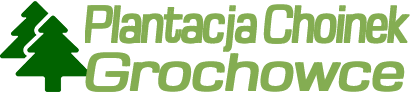 Marek Kielar Plantacja choinek Grochowce